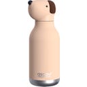 asobu Insulated Bottle - Brown Dog 460 ml - 1 pc