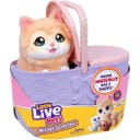 Little Live Pets Mama Surprise Kätzchen - 1 Stk