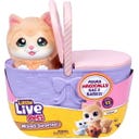 Little Live Pets Mama Surprise Kätzchen - 1 Stk