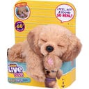 My Really Real Puppy S3 - Dachshund (Dackel) - 1 Stk