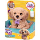 My Really Real Puppy S3 - Dachshund (Dackel) - 1 Stk