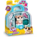 Little Live Pets Ouchies S2 Mini - Coco (Hamster) - 1 Stk