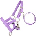 QHP Hobby Horse Halster Set