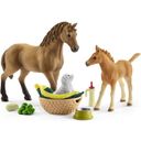 42432 - Horse Club - Sarah's Baby Animal Care - 1 item