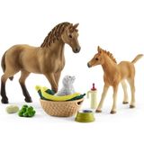 42432 - Horse Club - Sarah's Baby Animal Care