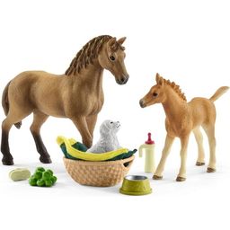 42432 - Horse Club - Sarah's Baby Animal Care - 1 item