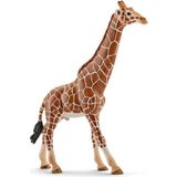 Schleich 14749 - Wild Life - žirafa samec