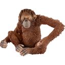 Schleich 14775 - Wild Life - Female Orangutan - 1 item