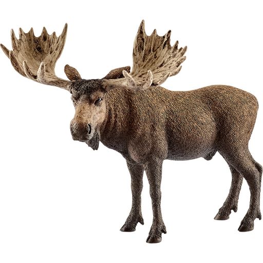 Schleich 14781 - Wild Life - Moose Bull - 1 item