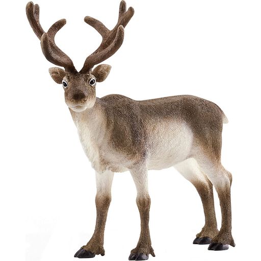 Schleich 14837 - Wild Life - Reindeer - 1 item