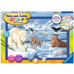 Ravensburger Painting by Numbers - Arctic Animals - 1 item