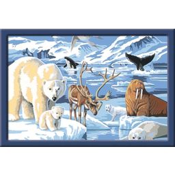 Ravensburger Slikanje po številkah - Arktične živali - 1 k.
