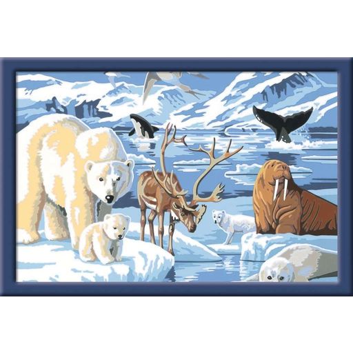 Ravensburger Painting by Numbers - Arctic Animals - 1 item