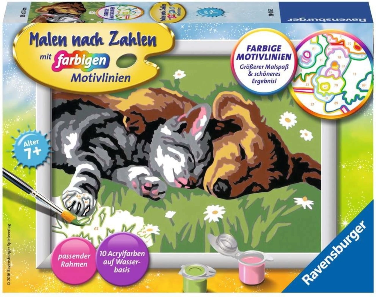 Malen nach Zahlen mit farbigen Motivlinien - Tiefer Schlaf