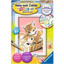 Ravensburger Painting by Numbers - Kittens - 1 item