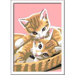 Ravensburger Painting by Numbers - Kittens - 1 item