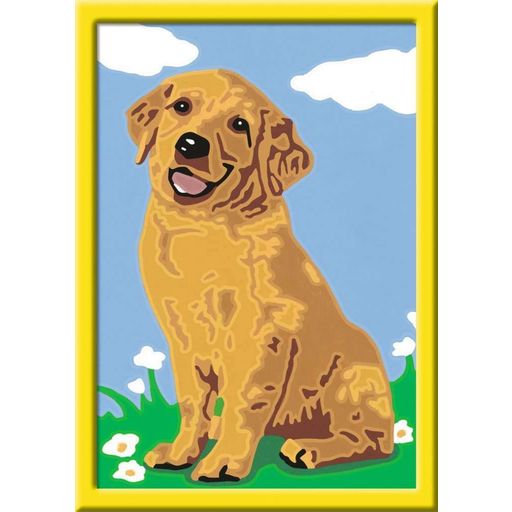 Painting by Numbers - Little Golden Retriever - 1 item