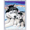 Painting by Numbers - Husky (CONFEZIONE E ISTRUZIONI IN TEDESCO) - 1 pz.