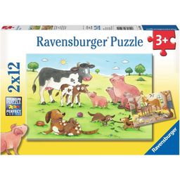 Puzzle - Famiglie di Animali Felici, 2 x 12 Pezzi - 1 pz.