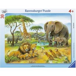 Ravensburger Puzzle - Afriške divje živali, 30 delov - 1 k.