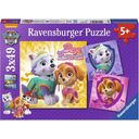 Puzzle - Paw Patrol: Skye and Everest, 3x 49 Pieces - 1 item