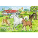 Puzzle - At the Horse Farm, 2 x 24 Pieces - 1 item