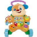 Fisher Price Learning Fun Puppy's Baby Walker - 1 item