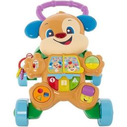 Fisher Price Learning Fun Puppy's Baby Walker