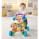 Fisher Price Learning Fun Puppy's Baby Walker - 1 item