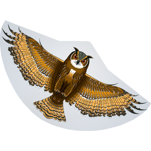 Günther Single Line Kite - Owl - 1 item