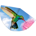 Günther Hummingbird Children's Kite - 1 item