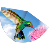 Günther Hummingbird Children's Kite
