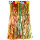 Fries Colourful Hula Skirt