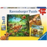 Puzzle - Animals of the Earth - 3 x 49 Pieces