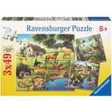 Ravensburger Pussel - Skog/Zoo/Djur, 3 x 49 bitar
