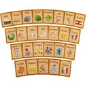 GERMAN - Chatterbox - English Learning Game - 1 item