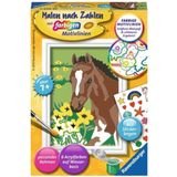 Ravensburger Painting by Numbers - Foals