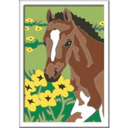 Ravensburger Painting by Numbers - Foals - 1 item