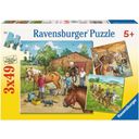 Ravensburger Puzzle - Il mio Maneggio, 3 x 49 Pezzi - 1 pz.
