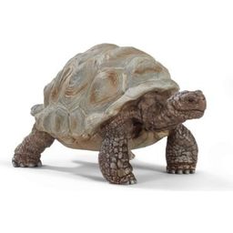 Schleich 14824 - Wild Life - Giant Tortoise - 1 item