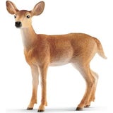 14819 - Wild Life - Femmina Di Cervo Virginiano
