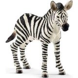 Schleich 14811 - Wild Life - Puledro di Zebra