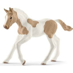 Schleich 13886 - Horse Club - Paint Horse Foal - 1 item