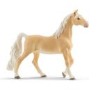 13912 - Horse Club - American saddlebred, sto