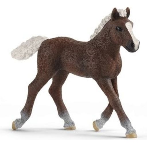 Schleich 13899 - Farm World - Black Forest Foal - 1 item