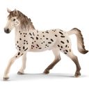 13889 - Horse Club - Knabstrupper Stallion
