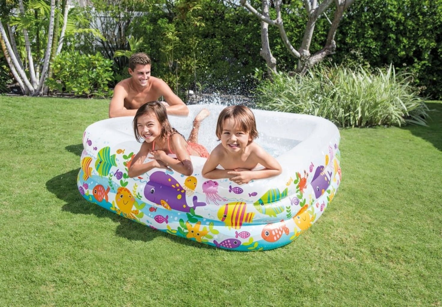 Intex Clearview Aquarium Pool - Clearview Aquarium Pool