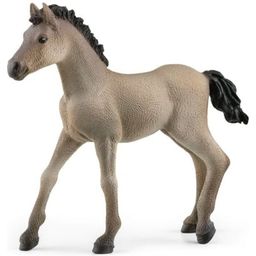 Schleich 13949 - Horse Club - Criollo Foal - 1 item