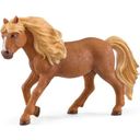 13943 - Horse Club - Iceland Pony Stallion New 1-2022