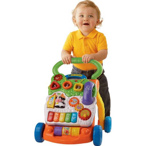 Baby - voziček za hojo in igranje (V NEMŠČINI) - 1 k.